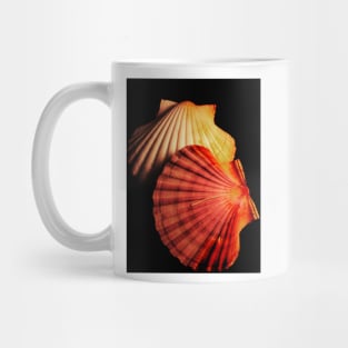 pectens Mug